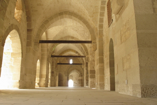 citadel 6